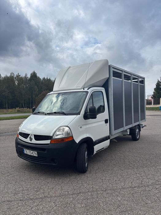 Renault master do przewozu zwierząt bydła