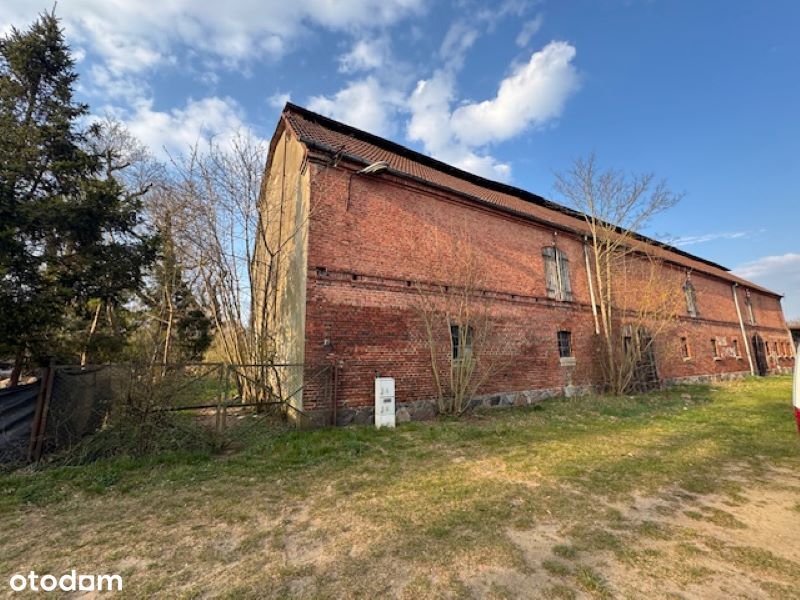 Syndyk sprzeda udział w nieruchomości w miejscowości Machowino