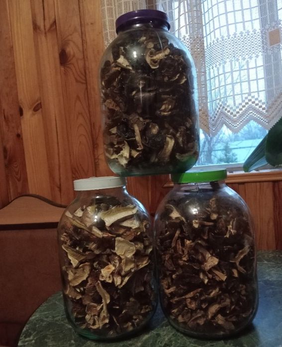 Продам сушені гриби