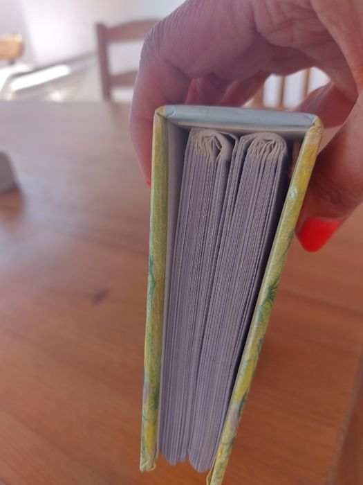 Álbum de 100 Fotografias A6