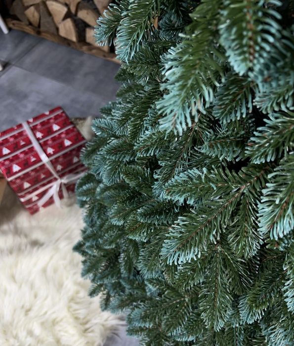 Ялинка лита «Канадська»