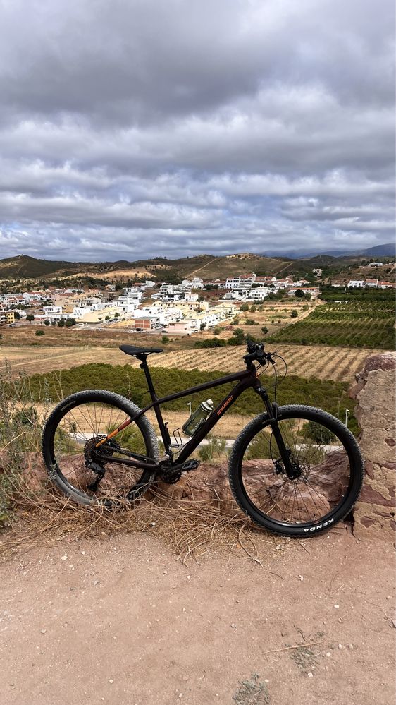 Bicicleta BERGAMONT. Aro 29
