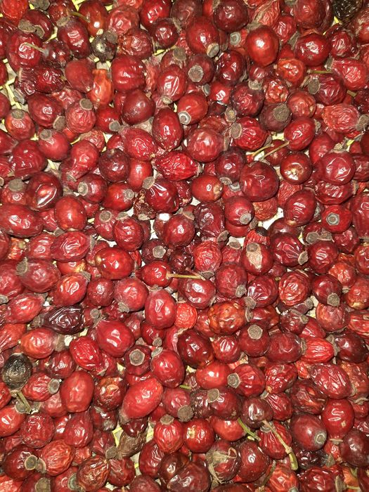 Шиповнік сушений