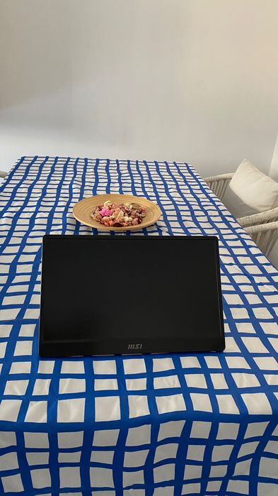 MSI Monitor PRO MP161 E2 15.6´´ Full HD IPS LED