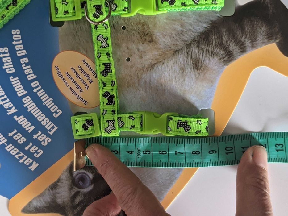 Поводок і ножиці для котиків