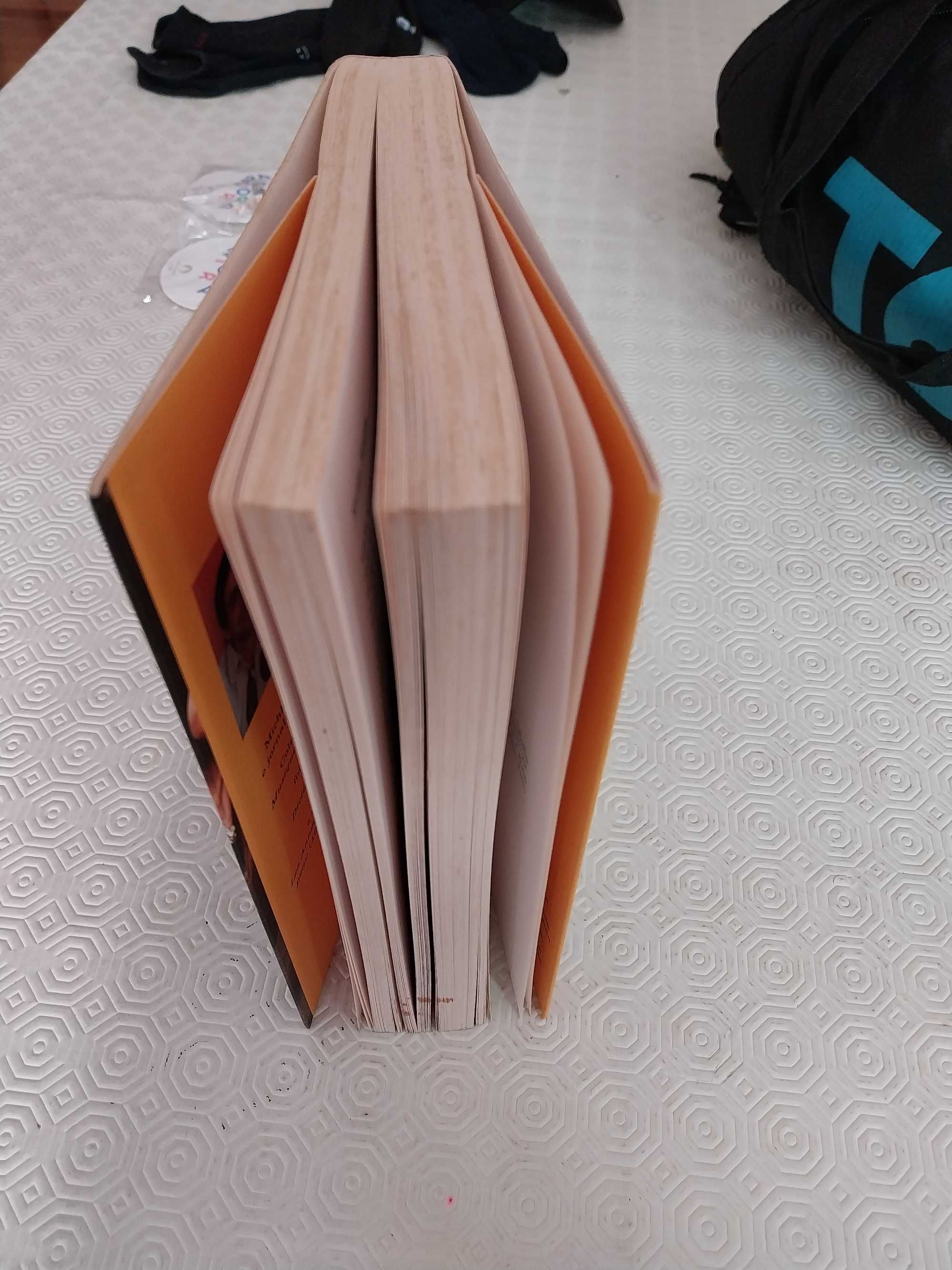 Livro Bono por Bono de Michka Assayas