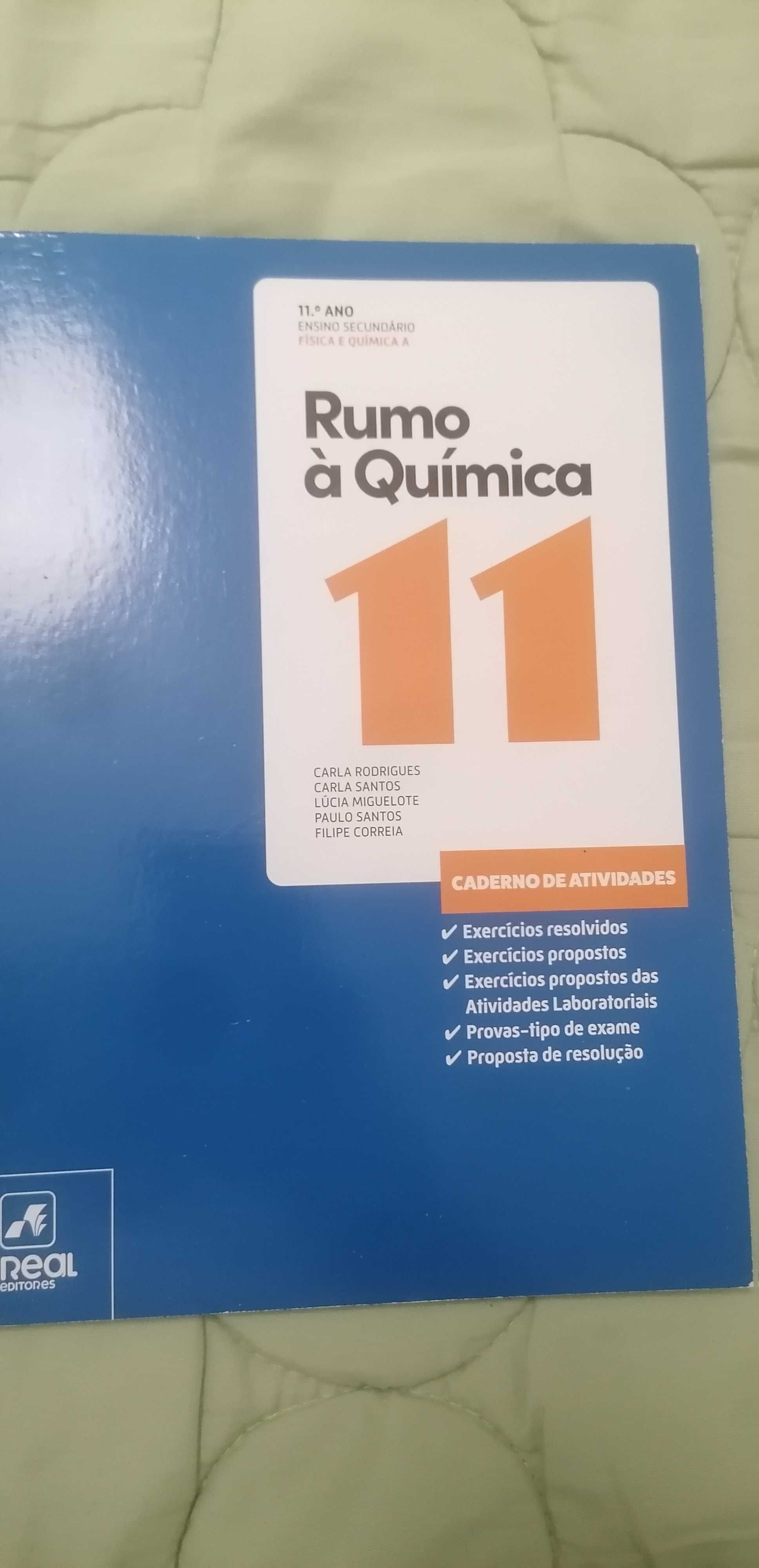 Livros de exercício  (como NOVOS) 10°\11°\12°