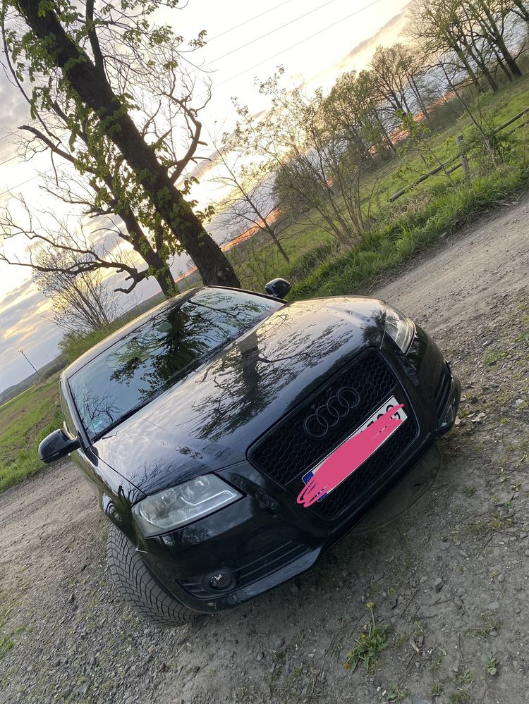 Audi a3 8p lift w gazie