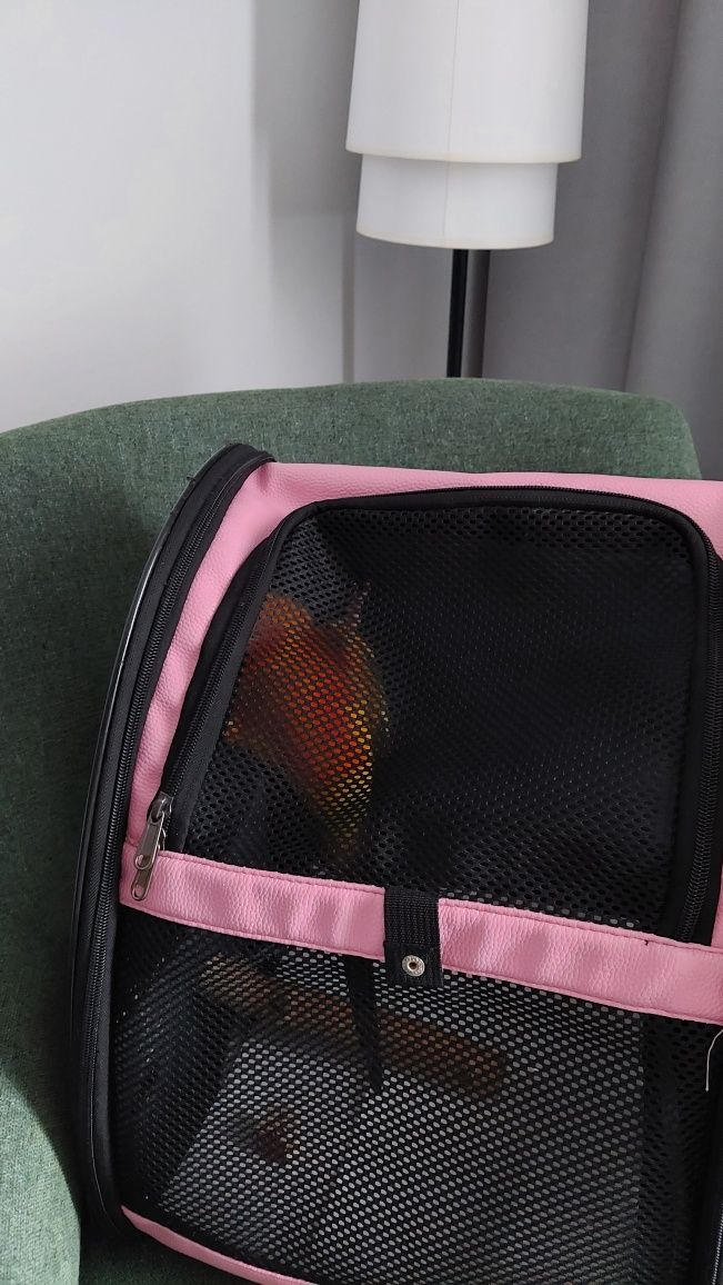 Transporter torba dla papug nowy ptaki podróże