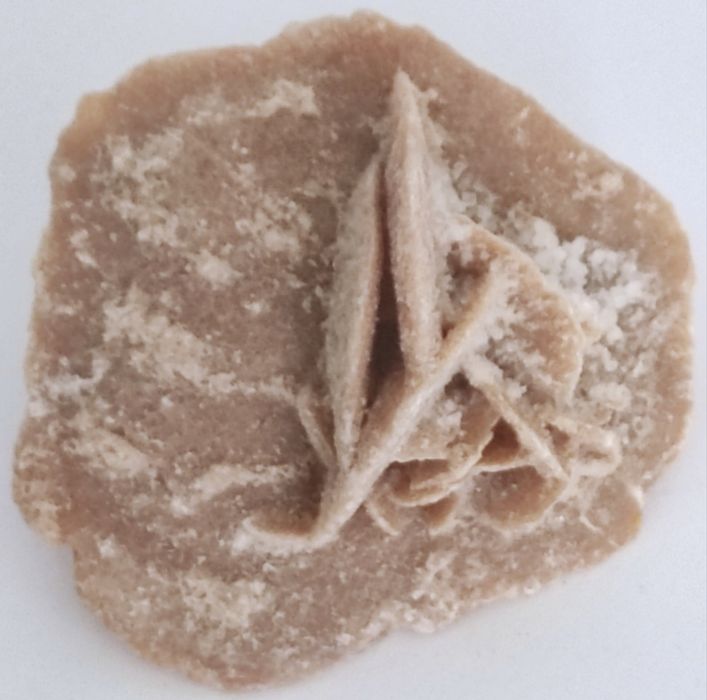 Петушок рибка  ракушка амулет