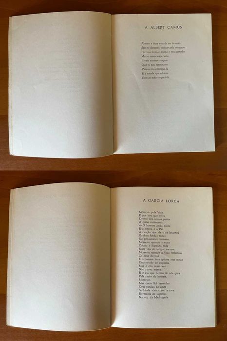 Novo rumo – Fernando Moniz Lopes