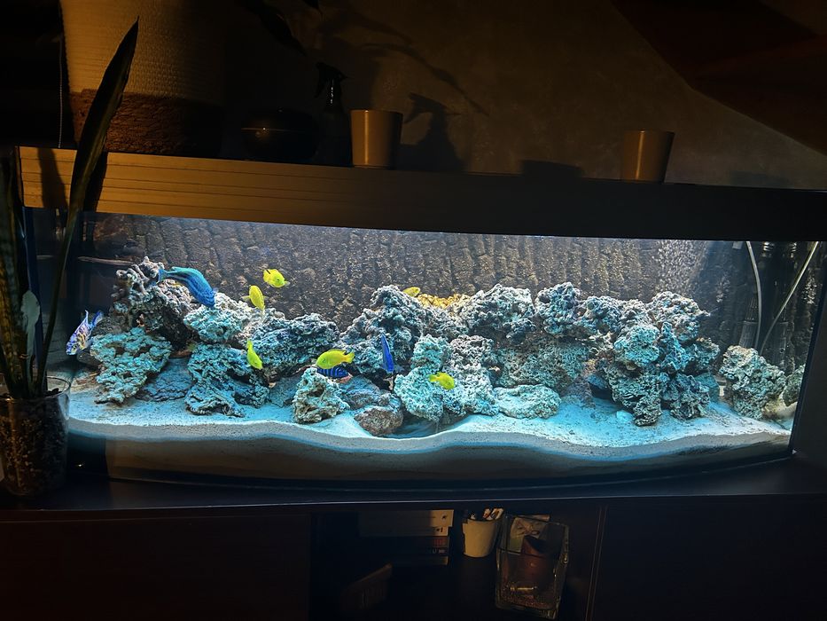 Akwarium panoramiczne 340l z pełnym wyposazeniem