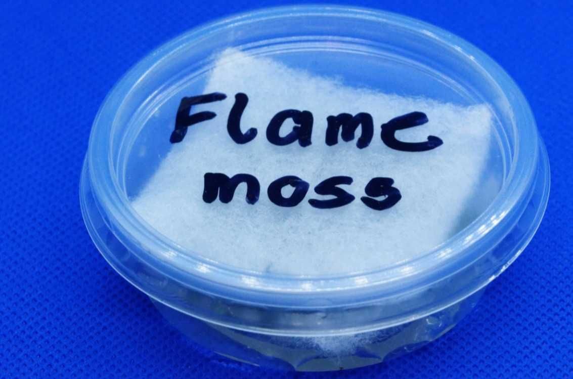 Mech Flame moss - na 2 lub 3 plan