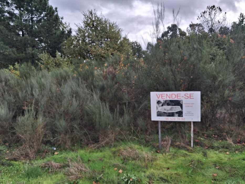 Terreno em Atalaia, Pindo, Penalva do Castelo