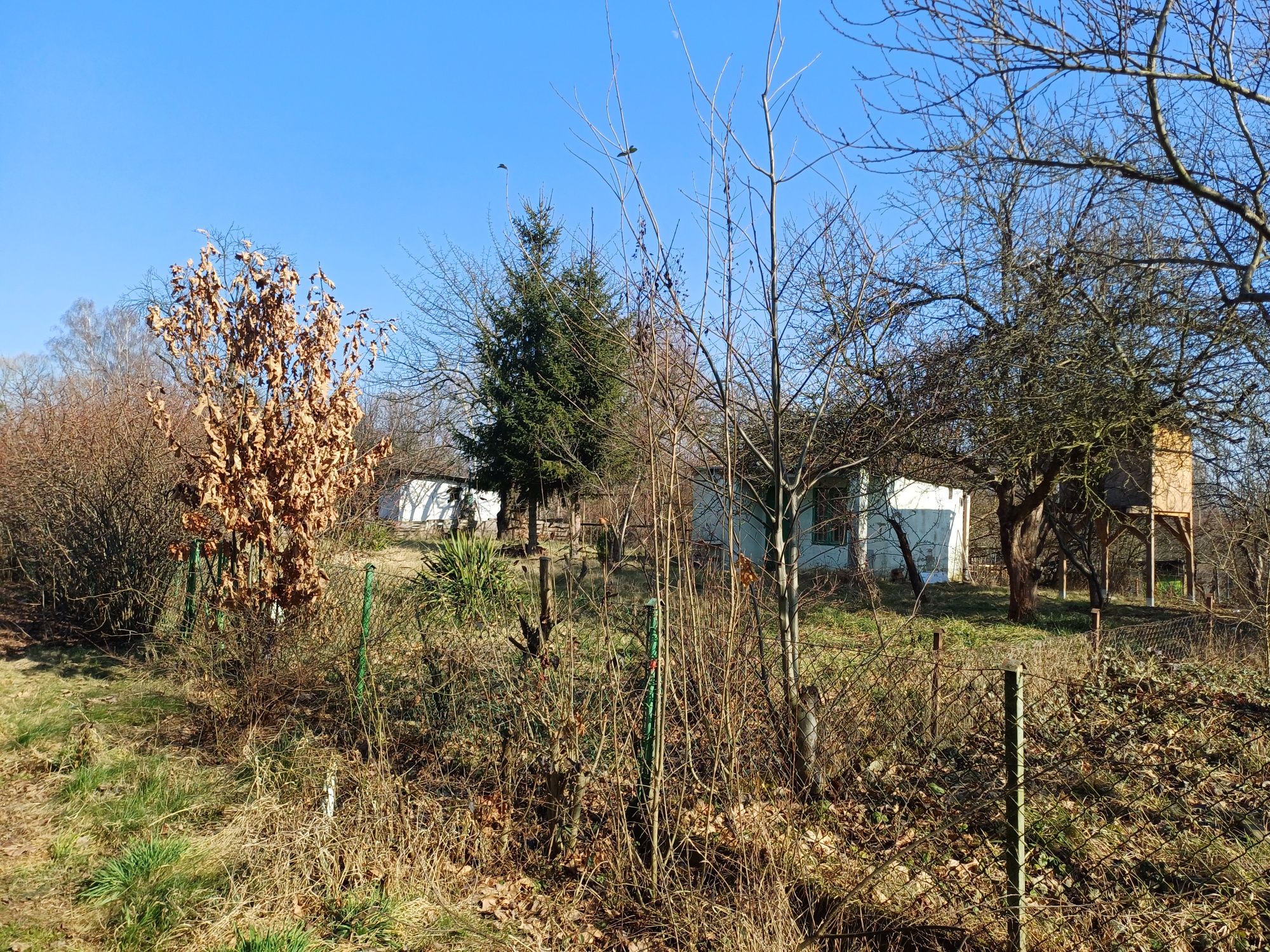 Działa ROD Jeżyny 512m, prawo użytkowania.