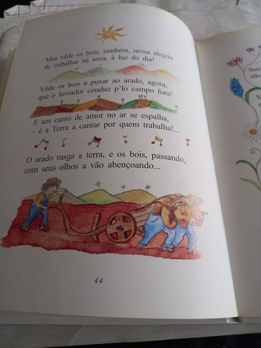 Animais nossos amigos