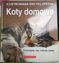 Ilustrowana encyklopedia, koty domowe