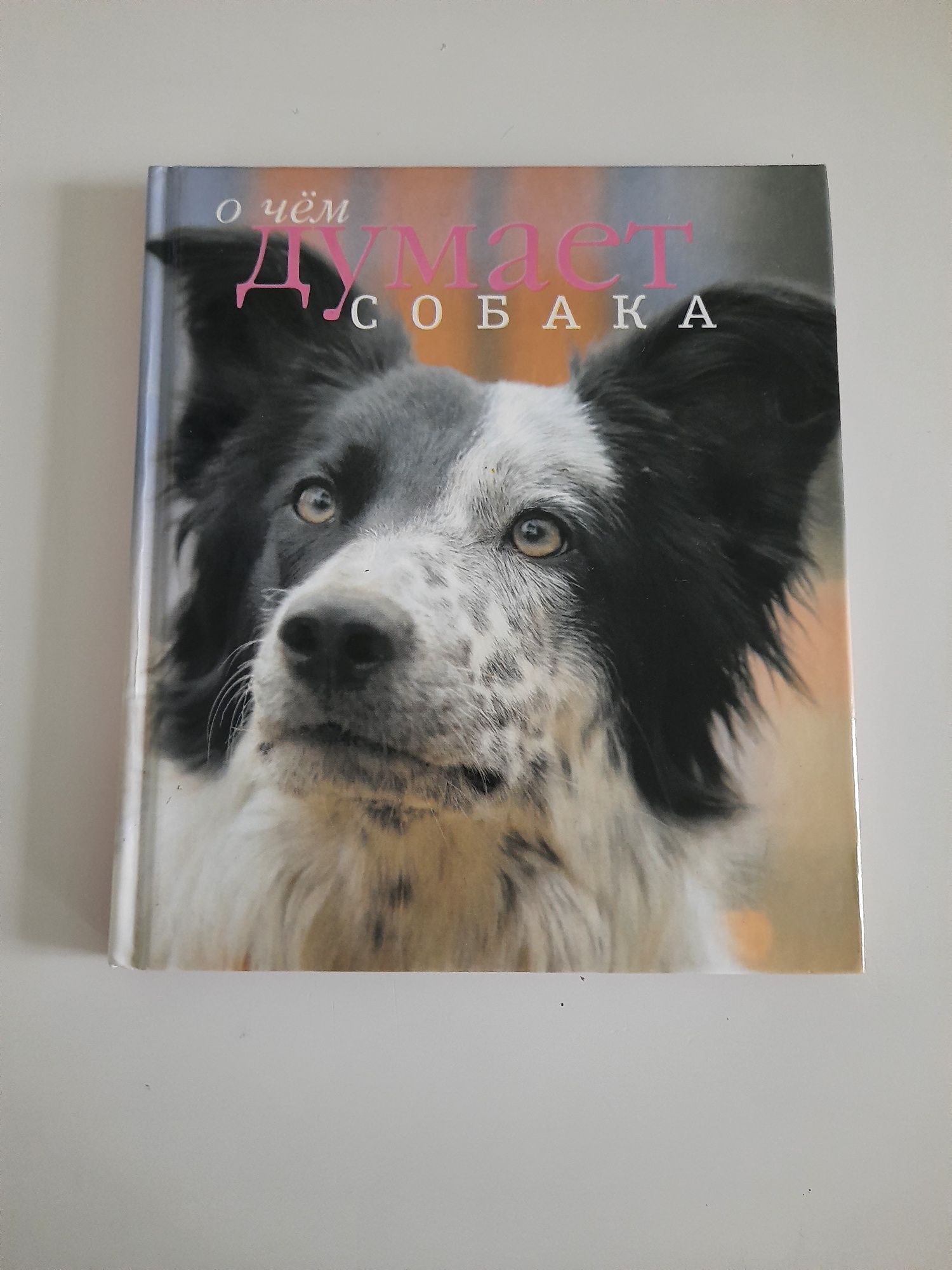 Книга "О чём думает собака"