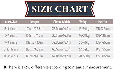 Strój księżniczki z niebieską peruką  Descendant 140Cm