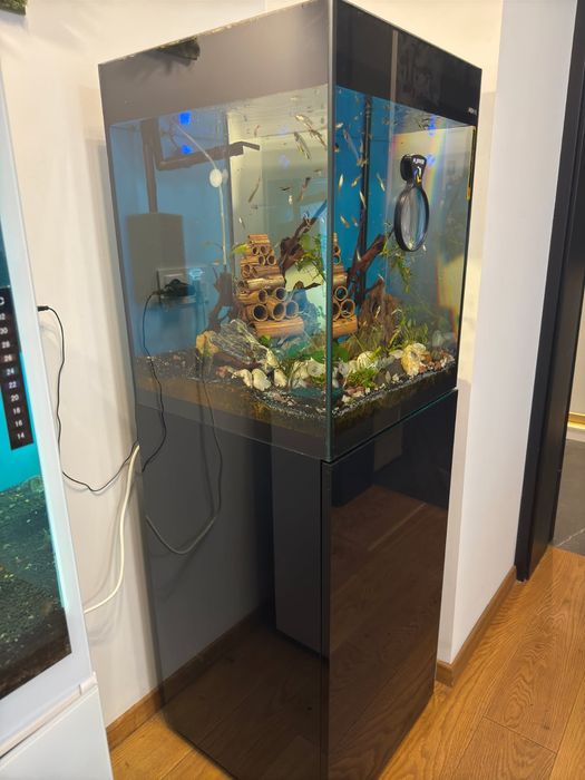Akwarium 160 z szafką i wyposażeniem