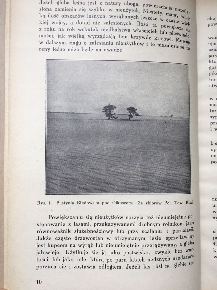 Zalesianie i zadrzewianie nieużytków Kloska 1935 leśnictwo
