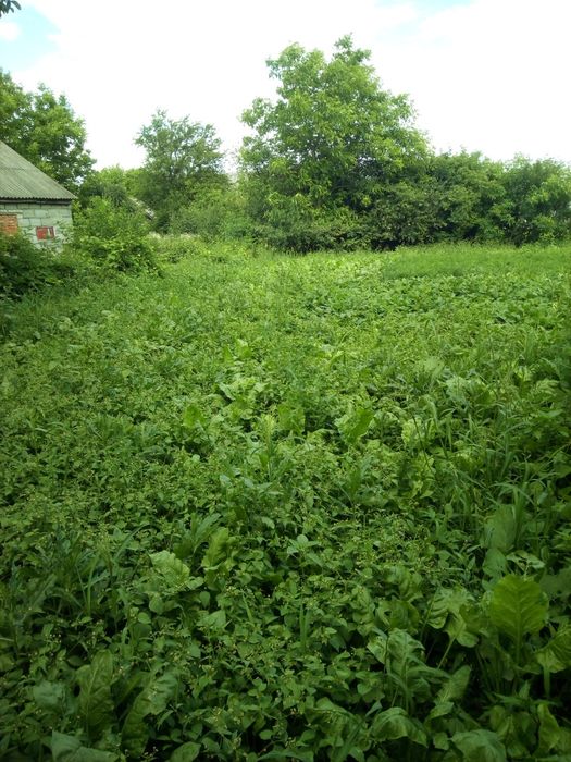 Земельна ділянка з будинком торг.