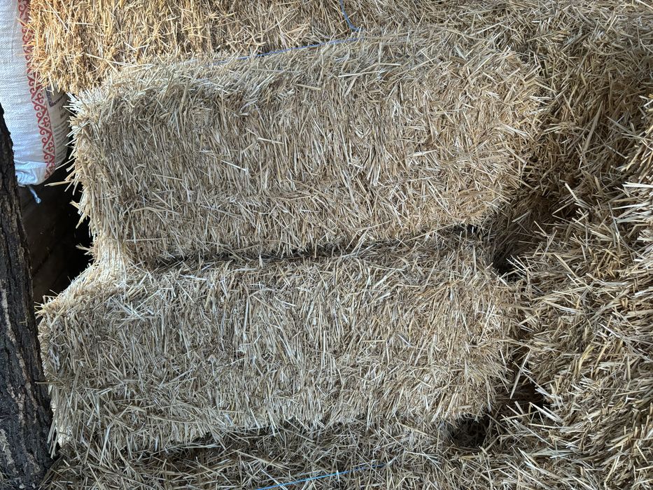 Солома в тюках,ячневая и пшеничная
