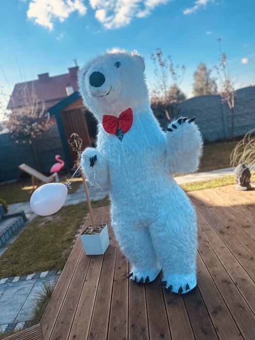 Bialy Mis miszka miki niespodzianka