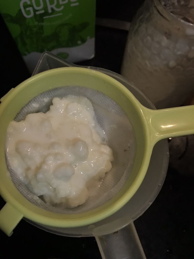 Kefir biológico- 40 gramas