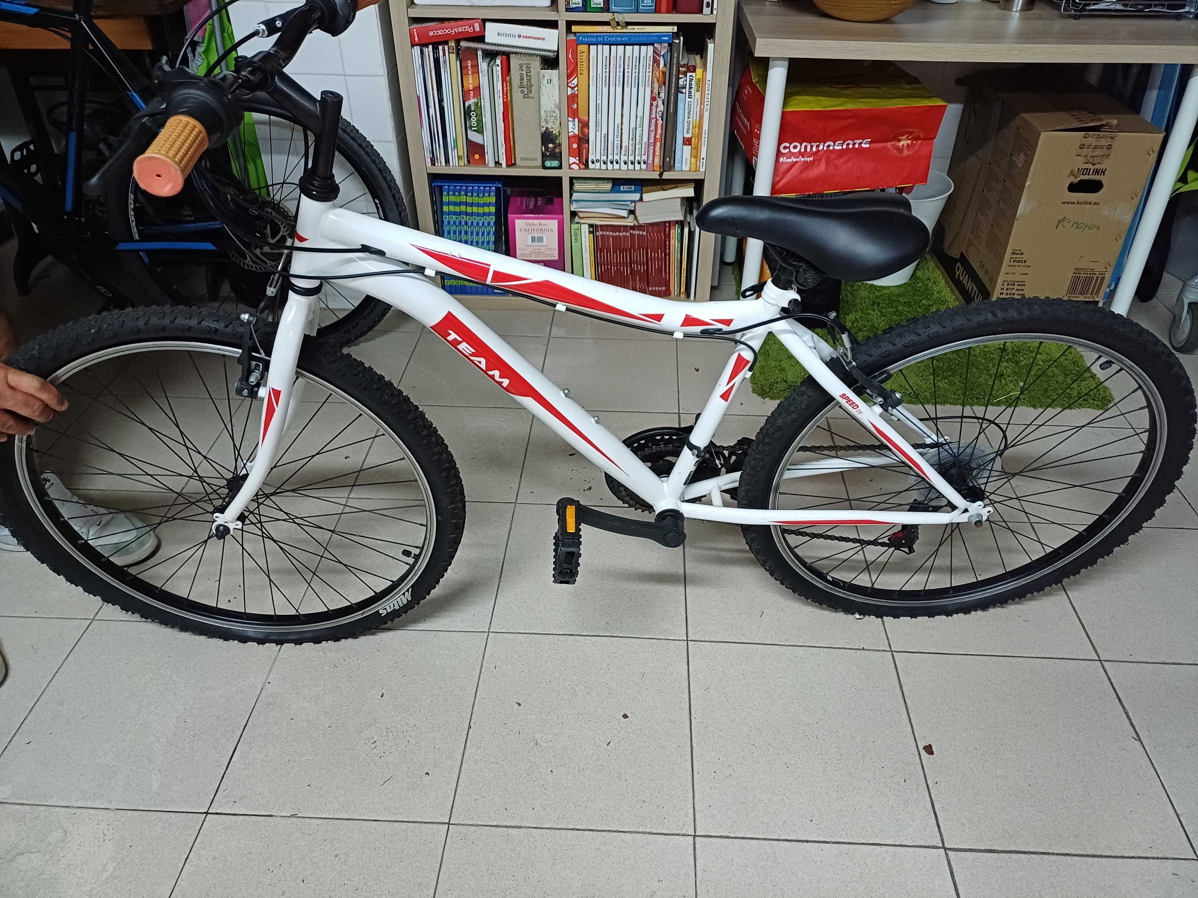 Bicicleta de criança