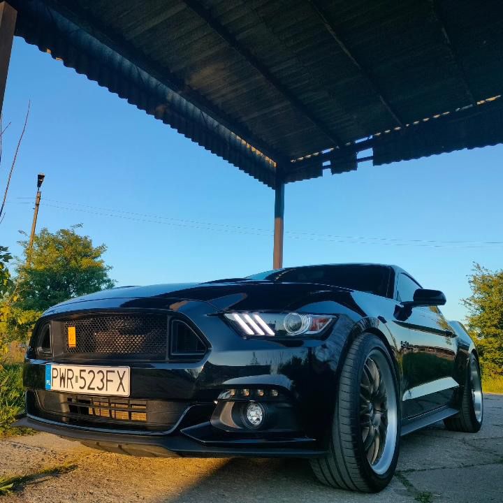 Ford mustang 5.0 GT performance