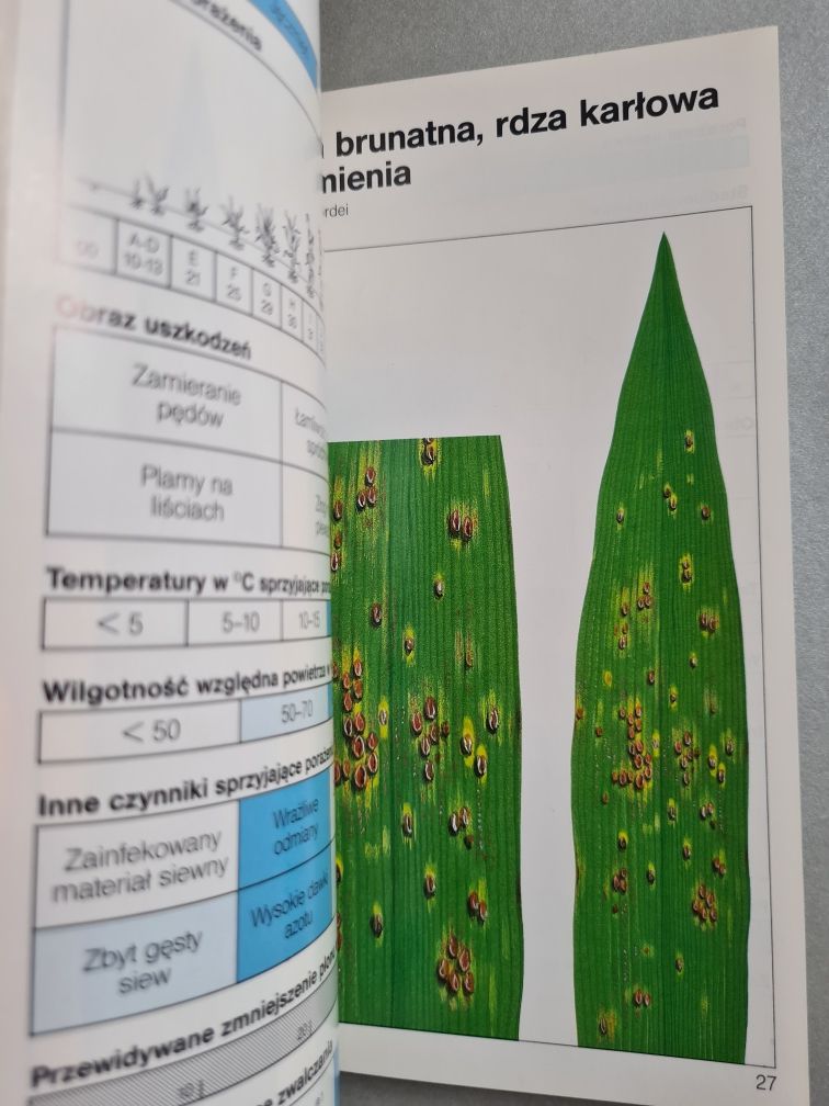 Choroby grzybowe w uprawach zbóż - Książka