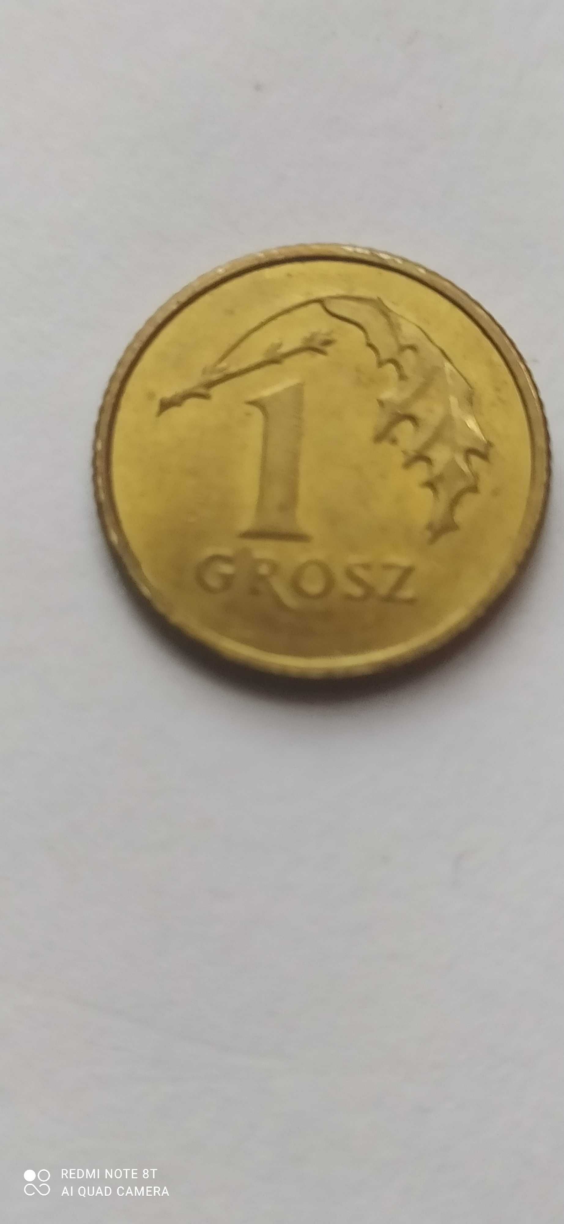 Numizmatyka kolekcja 1,2,5 groszy od 1992 do 2014 unikat 2013