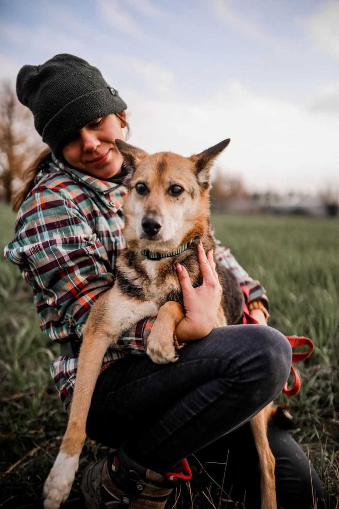 Lagusia - nieśmiała psia dama prosi o szansę ADOPCJA