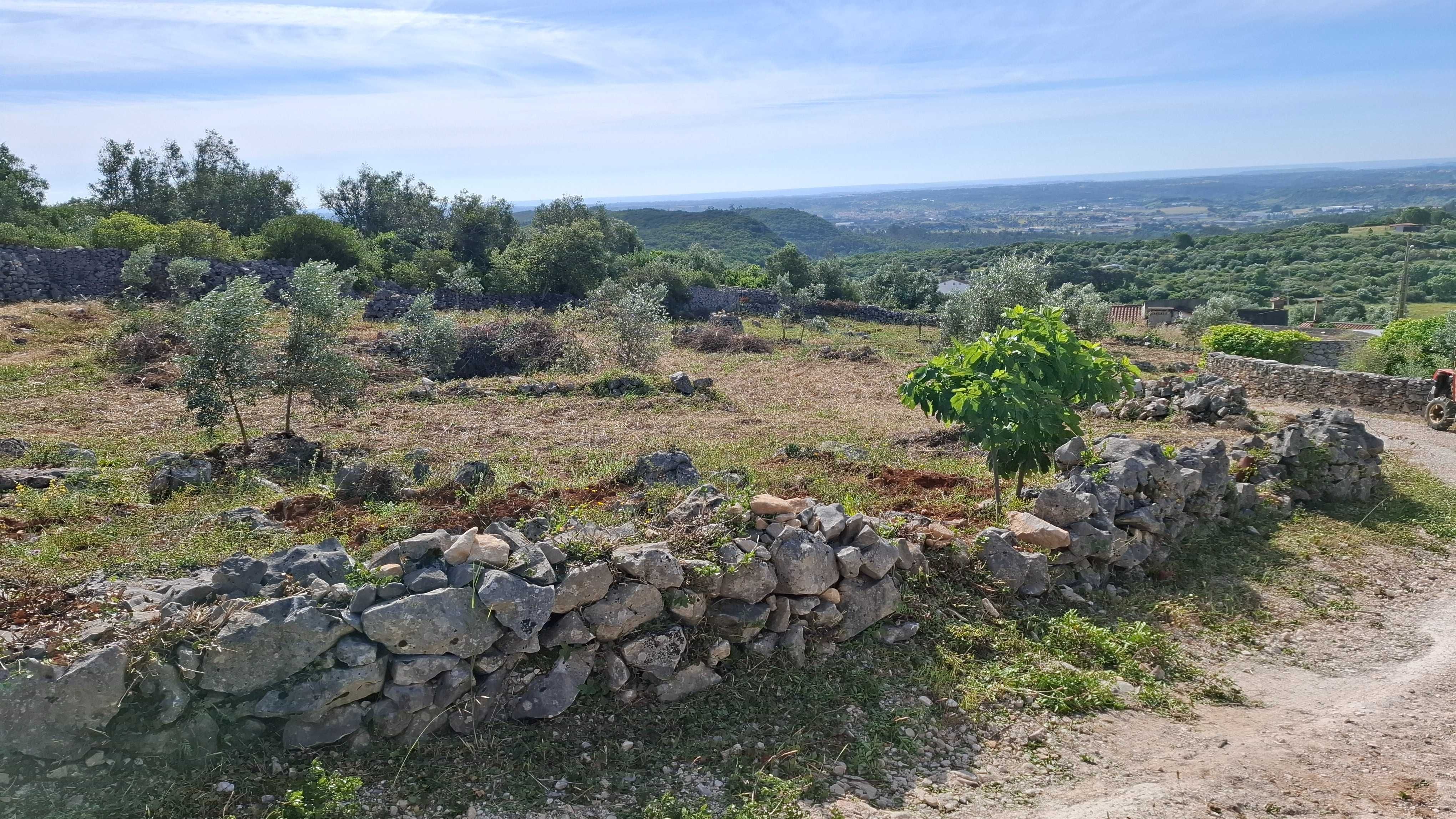 Terreno Rural, para venda nos Casais da Moreta. Monsanto ACN Santarém.