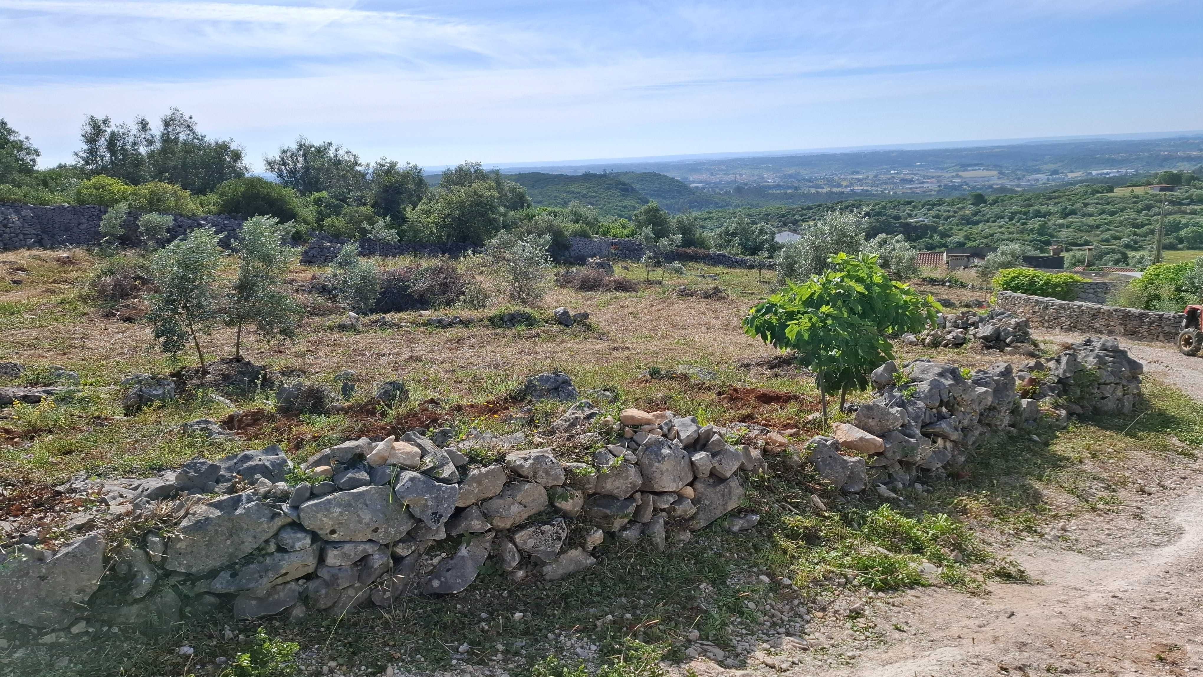 Terreno para venda nos Casais da Moreta