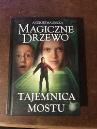 Magiczne Drzewo tajemnica mostu