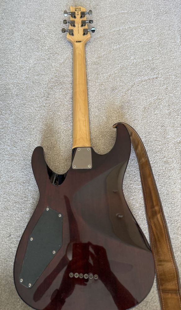 Gitara elektryczna ESP LTD H-101FM