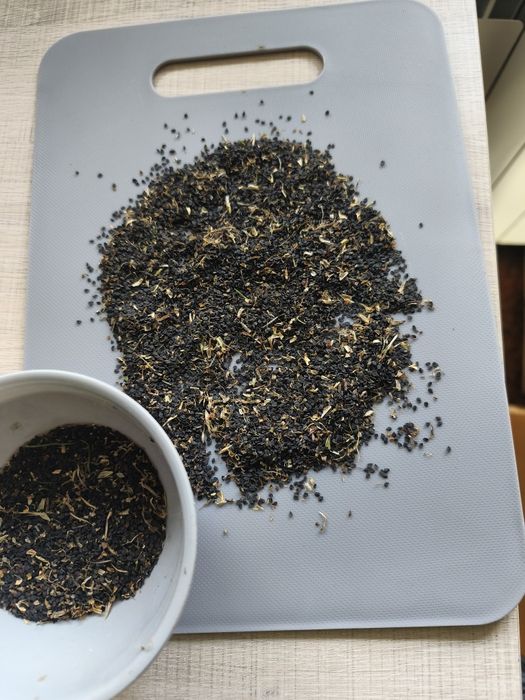 Nasiona goździka brodatego 5 gram