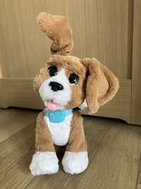 Hasbro Fur Real interaktywny piesek Beagle