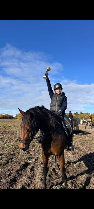 Sprzedam 6 letnią klacz