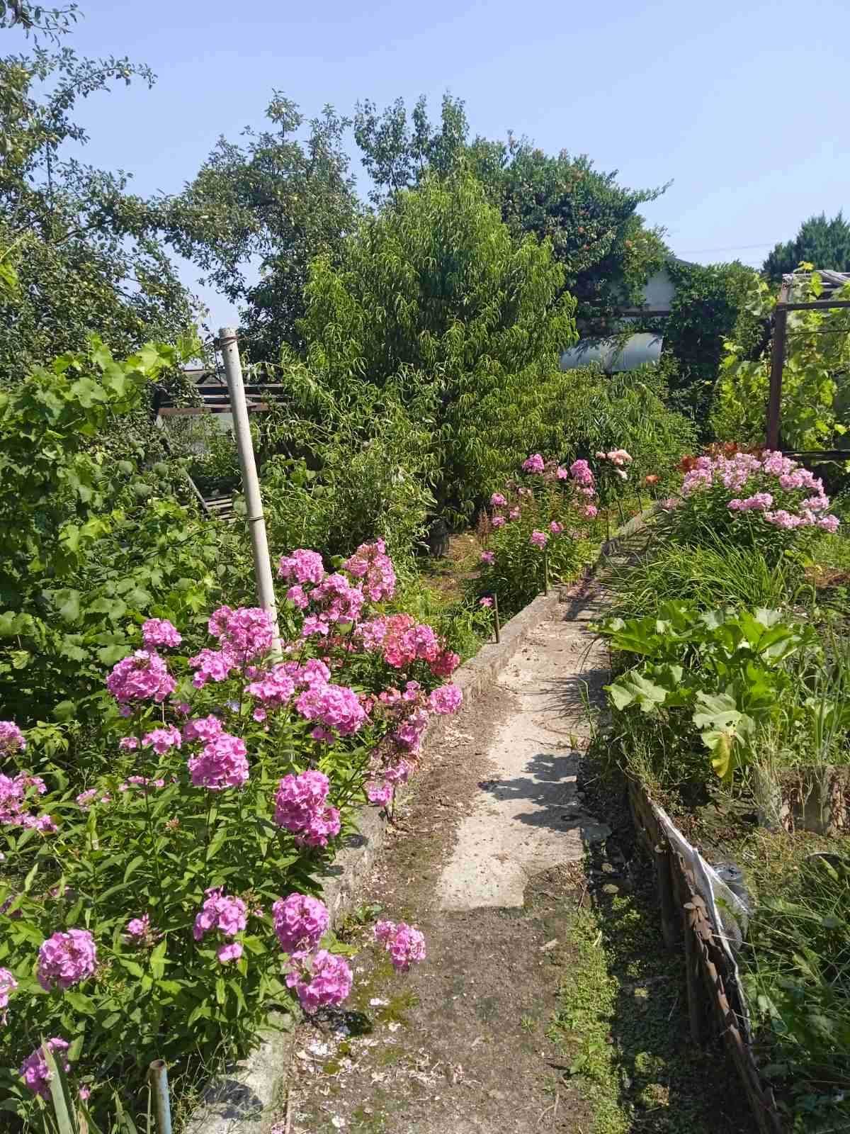 Продам дачу с. Рокитне Яворівський р-он