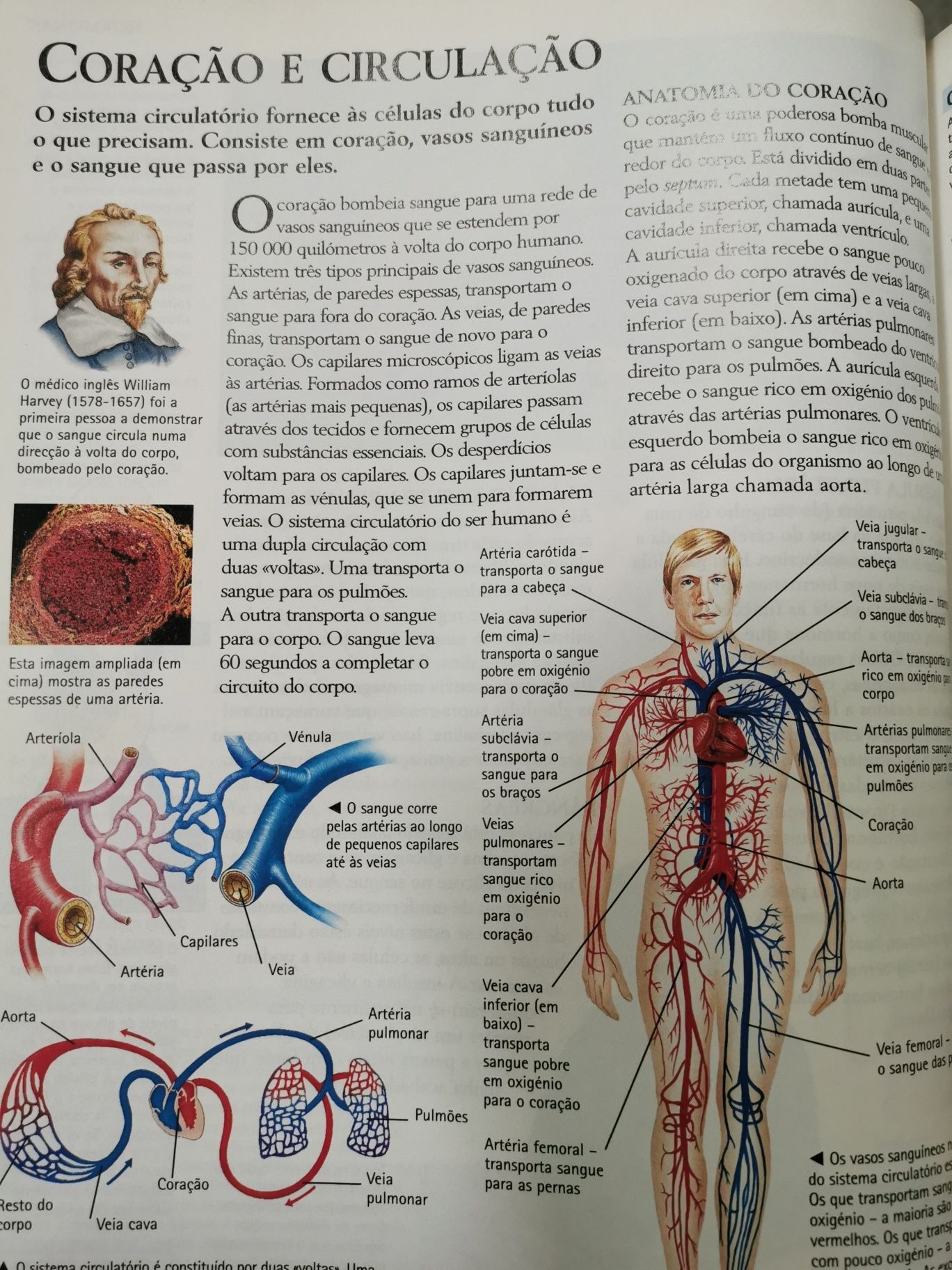 Enciclopédia Ilustrada da Ciência