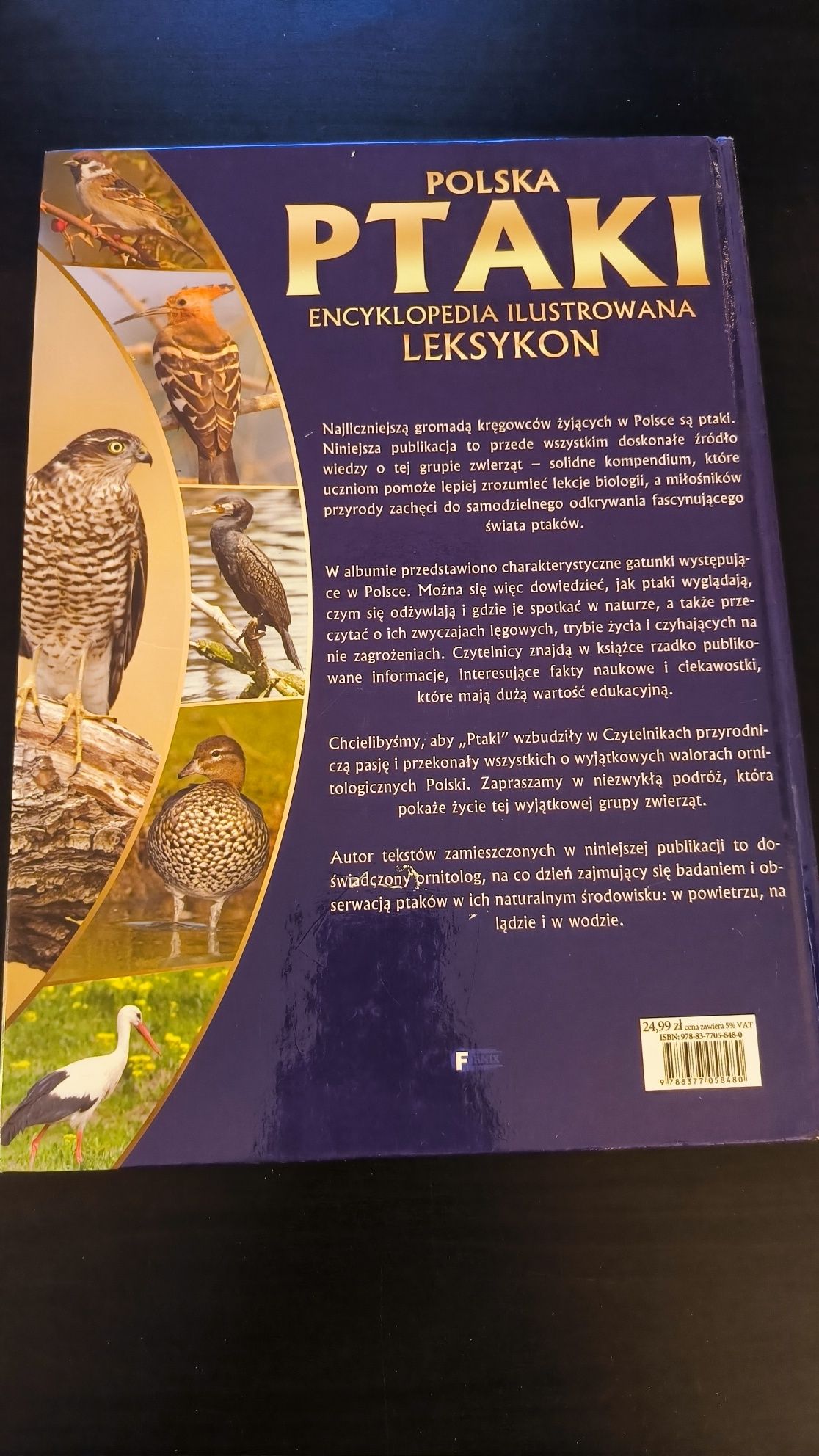 Polska ptaki encyklopedia ilustrowana leksykon