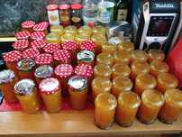 Dżem z mirabelki 10 szt po 315ml