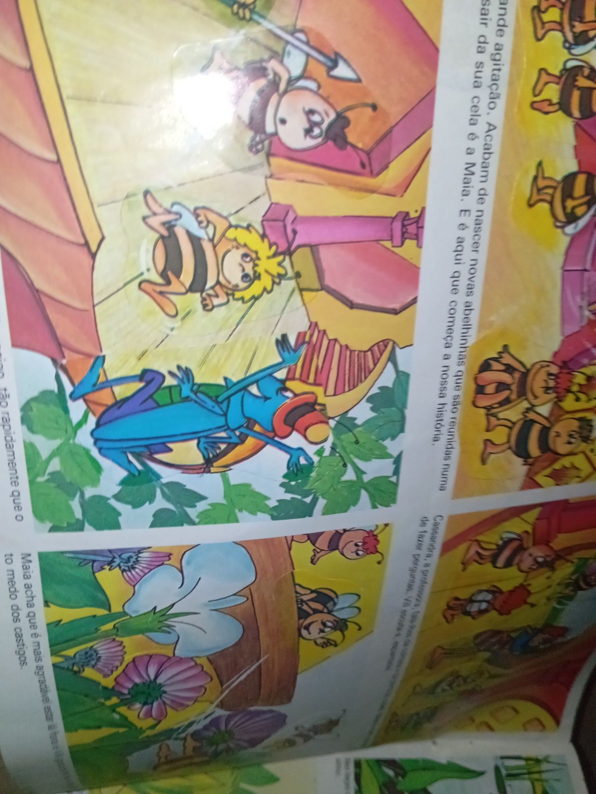 Caderneta abelha maia não completa