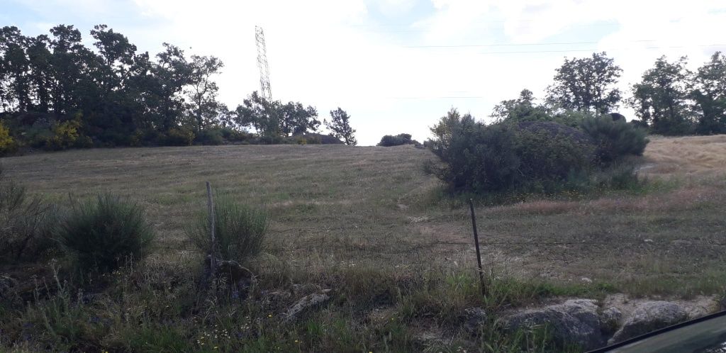 Quinta 14,5 hectares