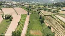 Terreno Agrícola  em Longos/Guimarães
