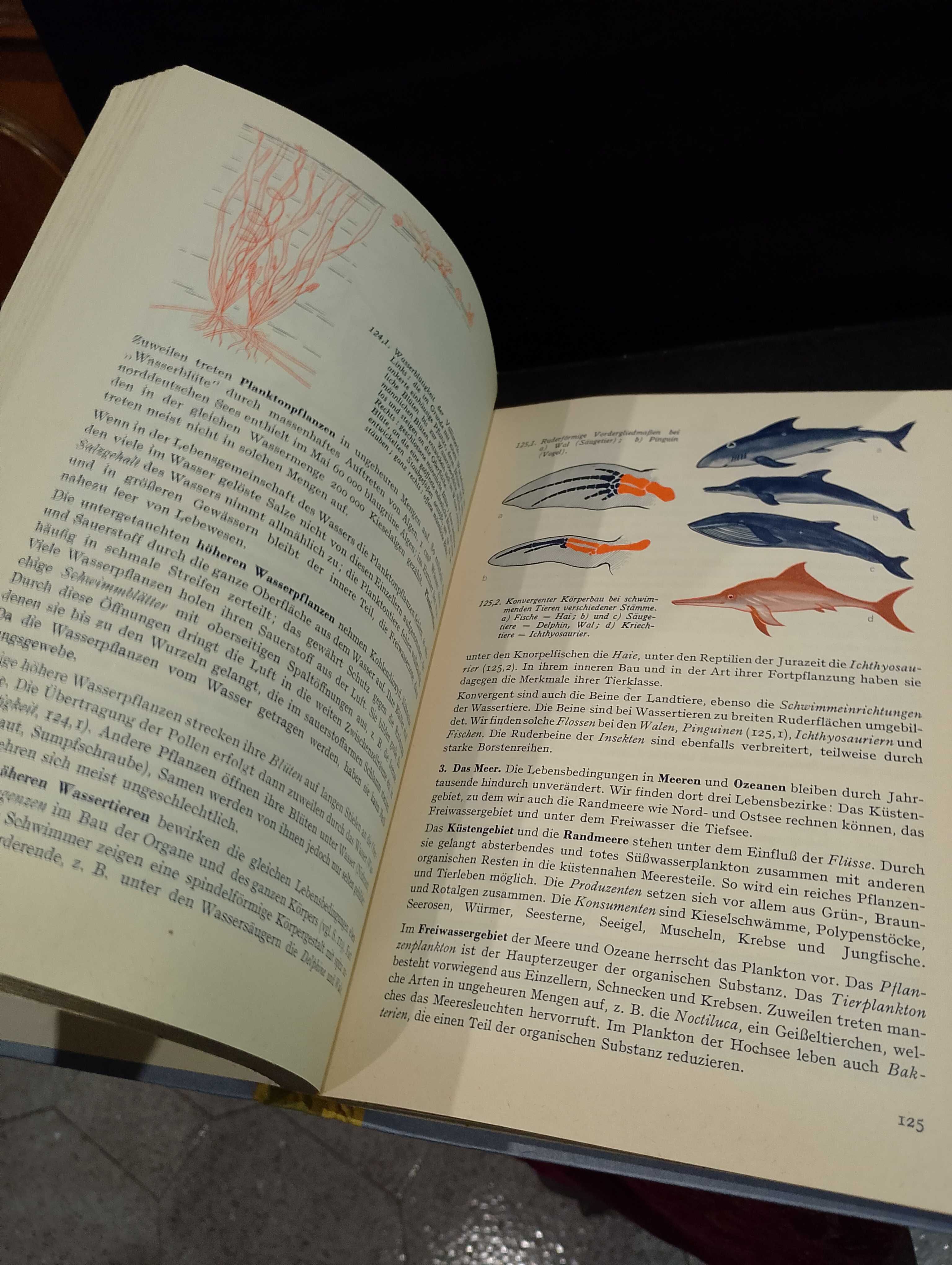 Kletts Biologisches Unterrichtswerk - Band VII