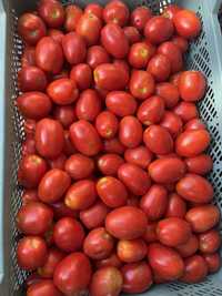 Pomidor Lima na przetwory z możliwością wysyłki